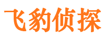 山亭市场调查